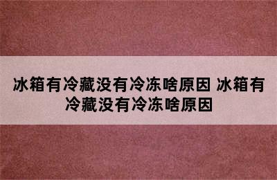 冰箱有冷藏没有冷冻啥原因 冰箱有冷藏没有冷冻啥原因